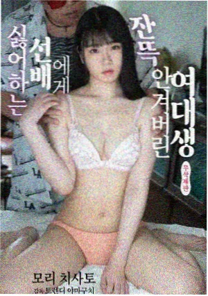 山脊以南剧集片源封面